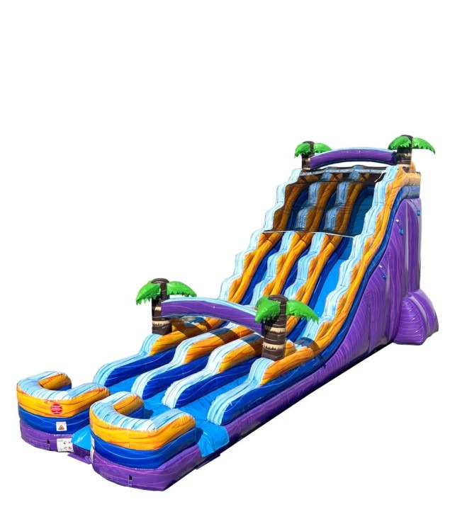 24ft Tropical Dual Lane  Waterslide
